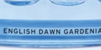 The Body Shop - English Dawn White Gardenia